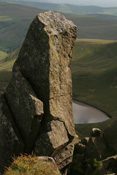 View this image larger